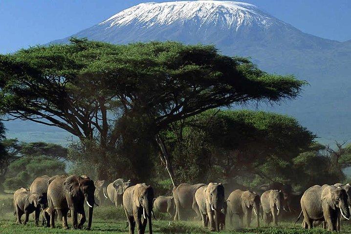 4 Day Amboseli National Park Luxury Safari