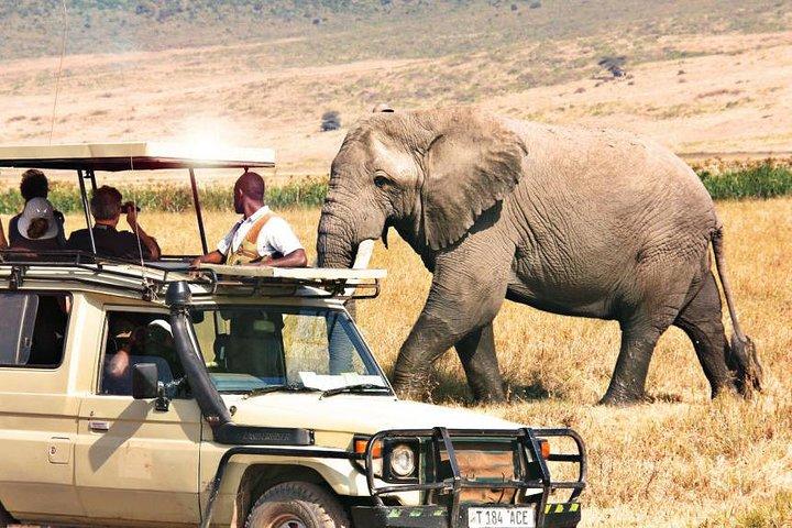 4 Day Tanzania Northern Circuit Camping Safari