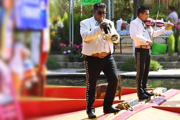 Small Group: Discover Xochimilco, Coyoacán, Frida Kahlo Museum and House