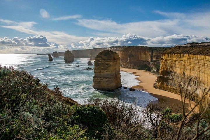 Great Ocean Road 12 Apostles & Rainforest Walk with Morning Tea