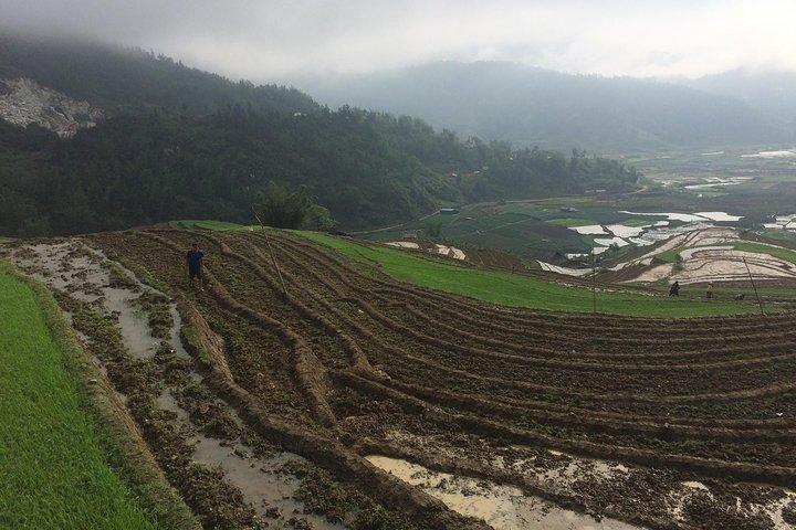 From Sapa: 2-Day Trek Through Authentic Villages in North - Sapa