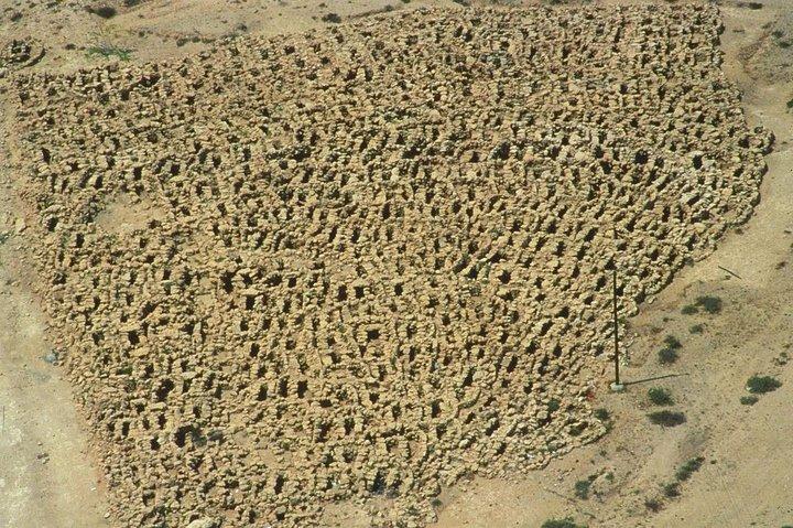 The Dilmun Civilization