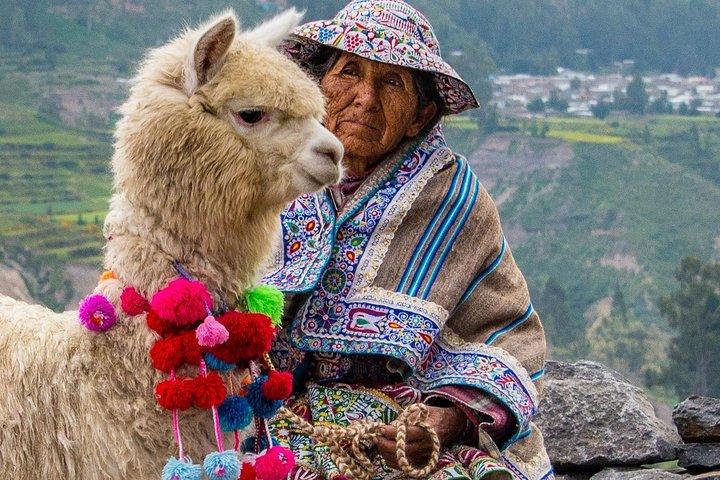 Colca Canyon 2 - Days From Puno To Arequipa