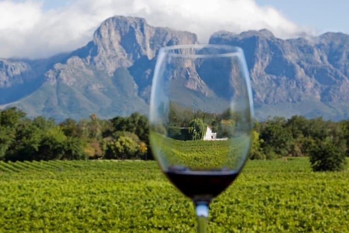 Cape town Private - Stellenbosch Wine Tasting Tour