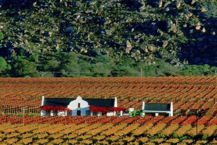 Cape town Private - Stellenbosch Wine Tasting Tour