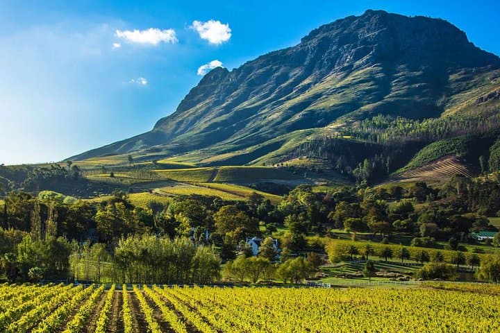 Cape town Private - Stellenbosch Wine Tasting Tour
