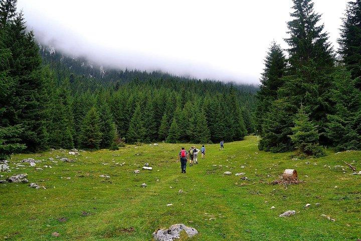 Carpathians in Romania: Piatra Craiului National Park with native Spanish guide.