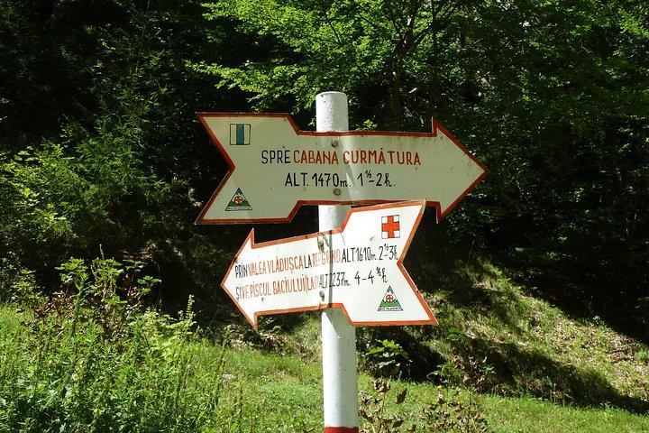 Carpathians in Romania: Piatra Craiului National Park with native Spanish guide.