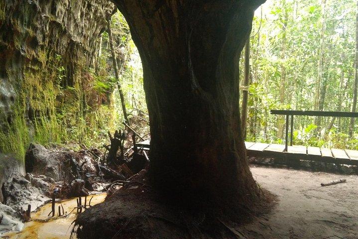 Amazon Rainforest Tour, Trails, Jungle, Caves and Waterfalls