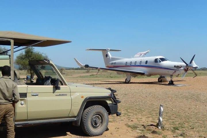 A Day Trip To Selous Fly From Zanzibar