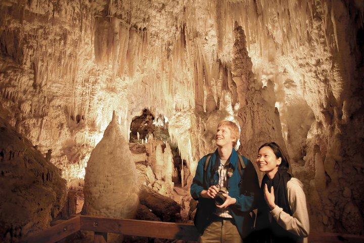2 Day Rotorua Experience: Waitomo Caves, Maori Culture & Ziplining from Auckland