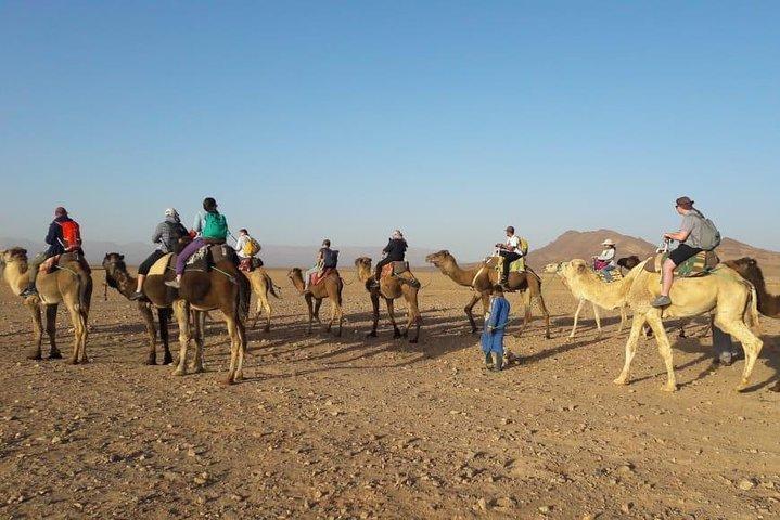 2 Days 1 Night To Zagora Desert From Marrakech