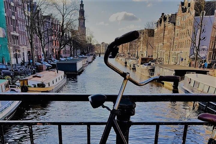 Amsterdam or Zaanse Schans private Schiphol airport layover tour