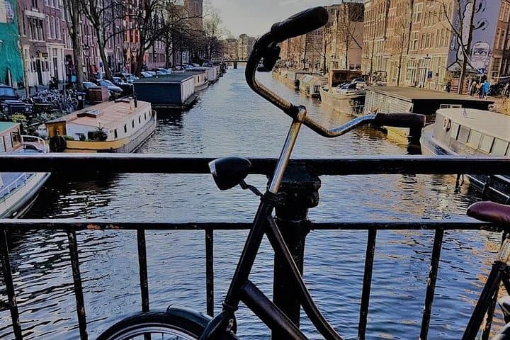 Amsterdam City & Countryside Tour: The Best of both Worlds