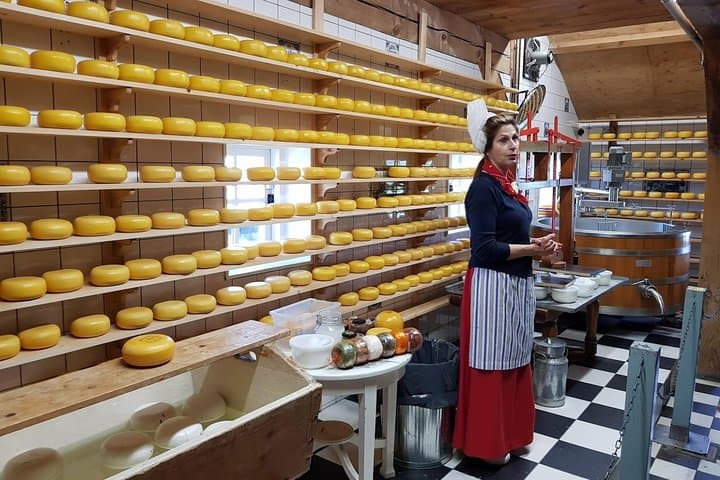 Amsterdam City & Countryside Tour: The Best of both Worlds