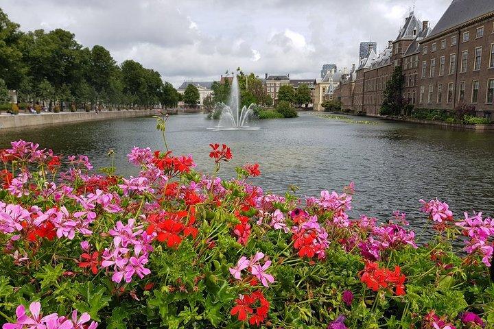 The Hague & Rotterdam: Past and Future Tour