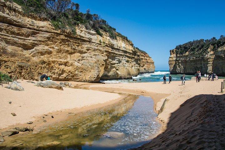 Great Ocean Road Reverse Rainforest & 12 Apostles from Melbourne