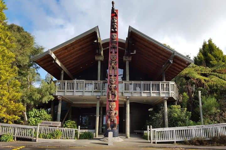 Coast and Rainforest Eco-Tour from Auckland with Picnic Lunch