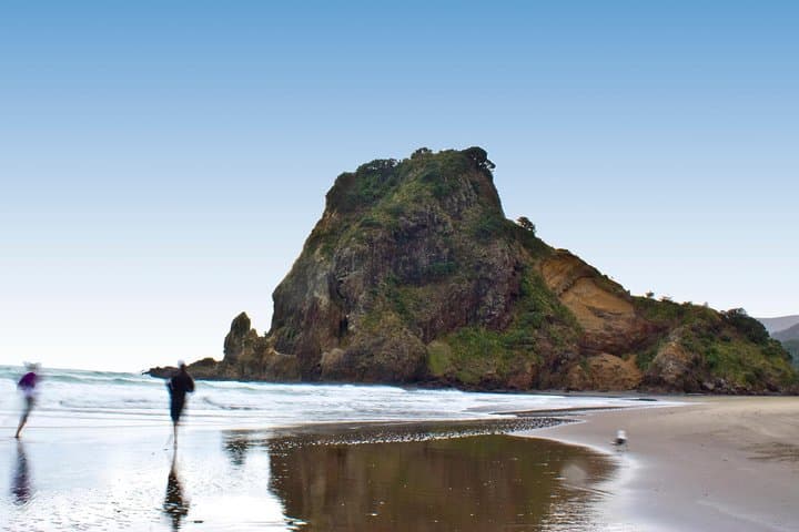Coast and Rainforest Eco-Tour from Auckland with Picnic Lunch