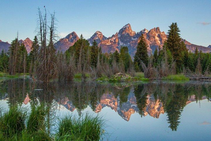 Sunrise 4-Hour Grand Teton Wildlife Adventure