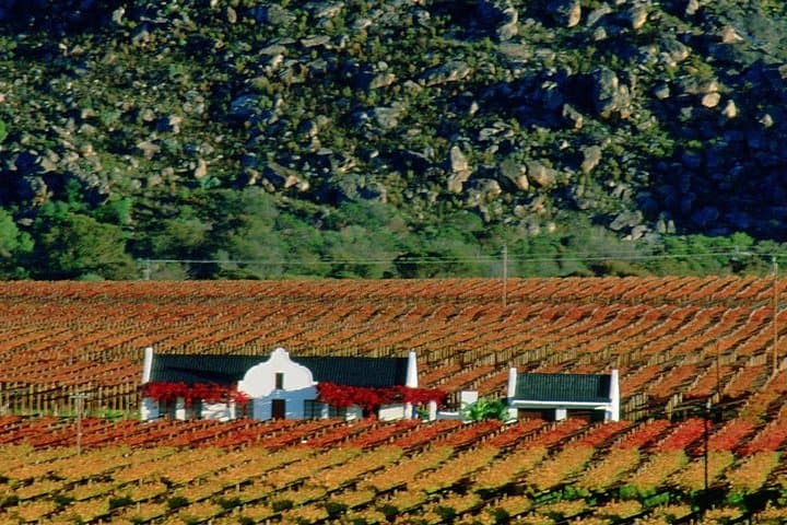 Cape town private, Wine Tasting Tour