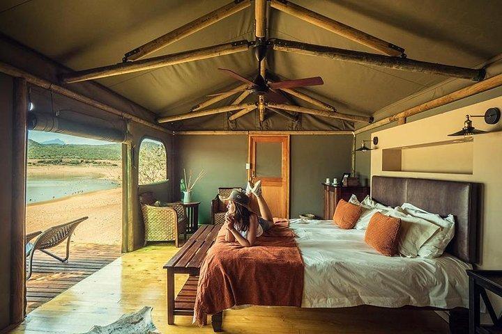 2 Day Wild Heart Western Cape Safari Tour with Private Transfers