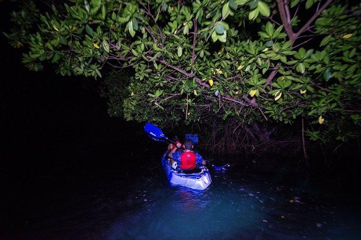 Bioluminescent Bay Kayak Adventure Tour from San Juan