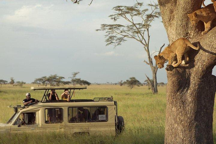 16 Day Great Adventure Kenya - Tanzania Clasic Safari (MINIMUM 2 PAX)