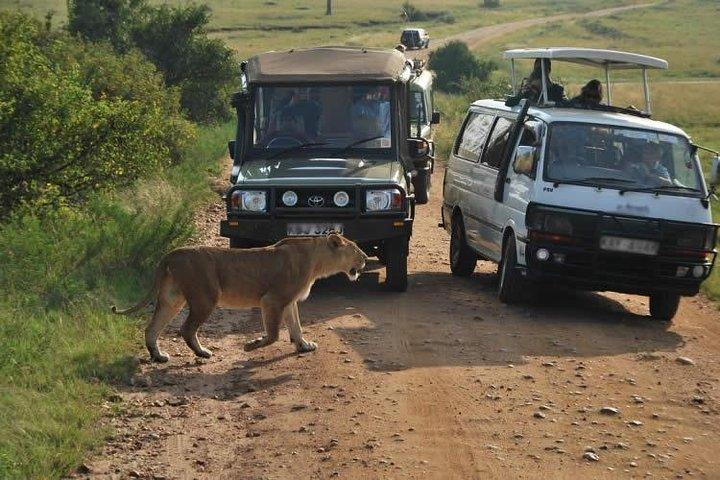 16 Day Great Adventure Kenya - Tanzania Clasic Safari (MINIMUM 2 PAX)