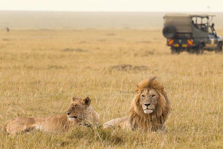16 Day Great Adventure Kenya - Tanzania Clasic Safari (MINIMUM 2 PAX)