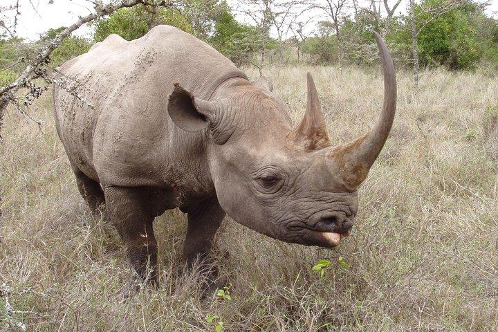 16 Day Great Adventure Kenya - Tanzania Clasic Safari (MINIMUM 2 PAX)