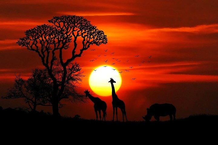 2days Spectacular Tanzania Safari