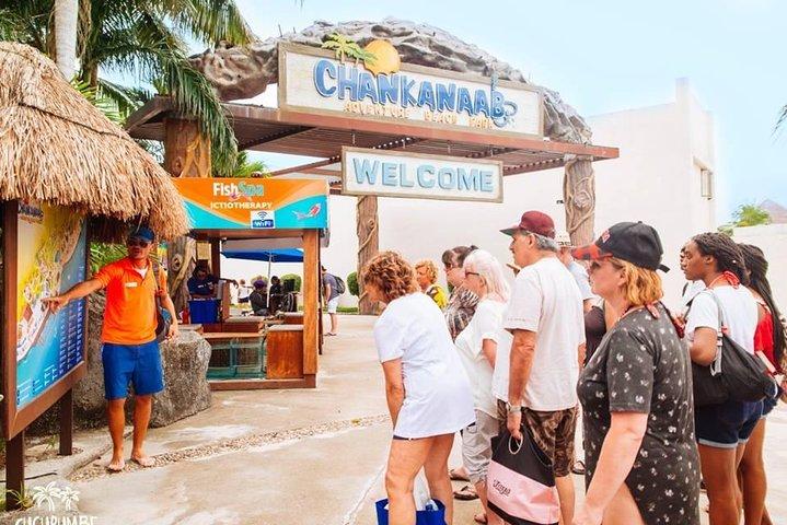Chankanaab Park Admission Access Ticket + See lion show