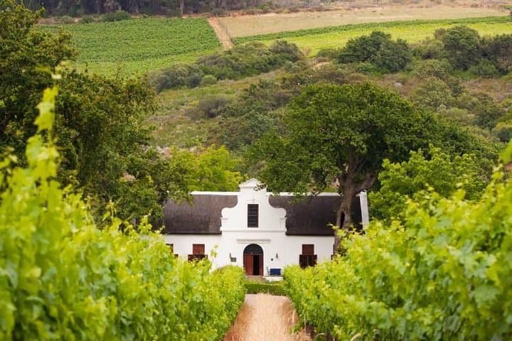 Sip and Savor : A Perfect Half day Wine Escape to Stellenbosch