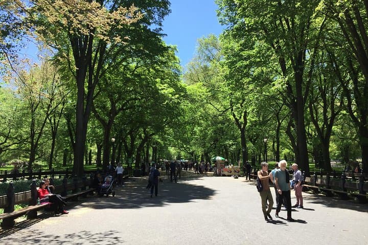 Central Park Walking Tour