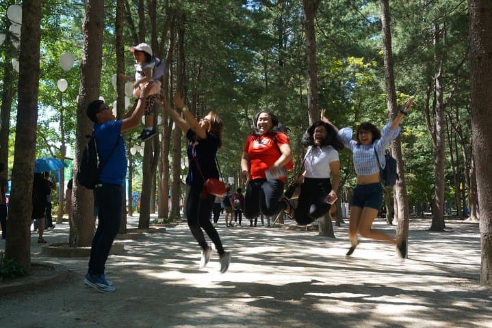 Private Tour: Nami Island& (Alpaca World 'or' Morning Calm)&Lunch