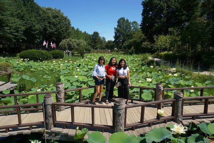 Private Tour: Nami Island& (Alpaca World 'or' Morning Calm)&Lunch