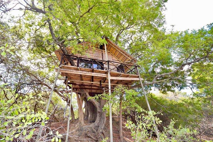 5 Day Lodge and Treehouse Kruger National Park Safari