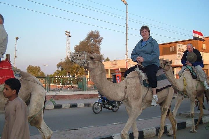 Camel Ride Tour In Luxor