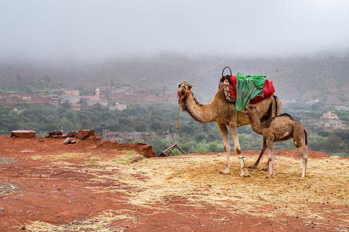 3 Valleys Atlas Mountains Berber Villages & agafy desert