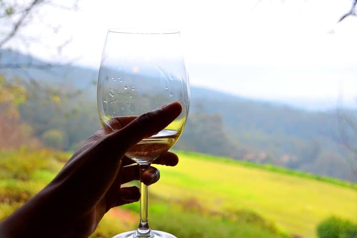 Sip and Savor : A Perfect Half day Wine Escape to Stellenbosch