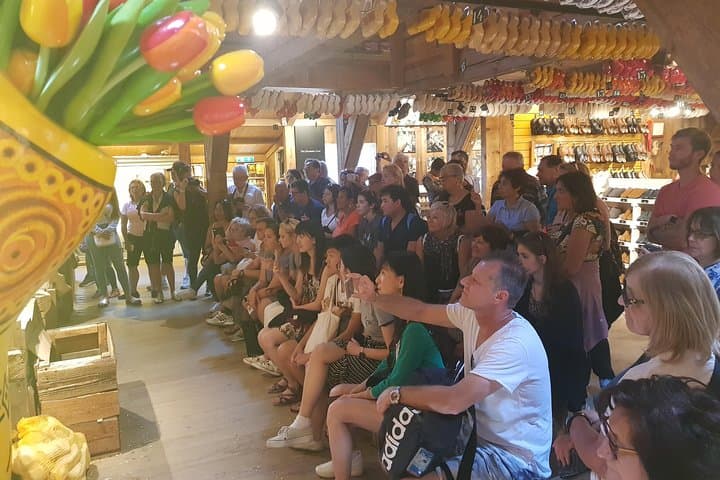 Zaanse Schans windmill tour with Italian guide