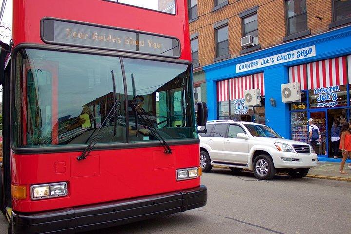 HOP ON-HOP OFF TOUR PASS- All Day Sightseeing Tour Pass