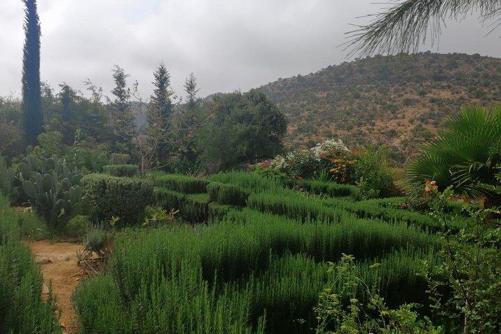 Half Day trip To Paradise Valley From Agadir or Taghazout
