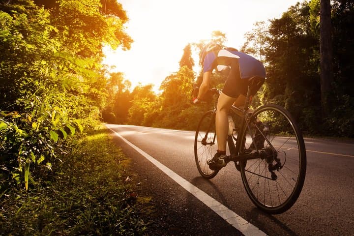 Private Half-Day National Botanic Garden Cycling Tour from Kuala Lumpur