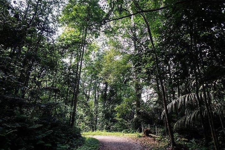 Private Half-Day National Botanic Garden Cycling Tour from Kuala Lumpur