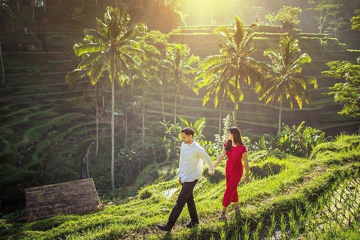Ubud Tour - Monkey Forest, Temple, Waterfall, and Rice Terrace