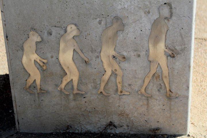 Cradle of Humankind Tour:Sterkfontein Caves & Maropeng Experience