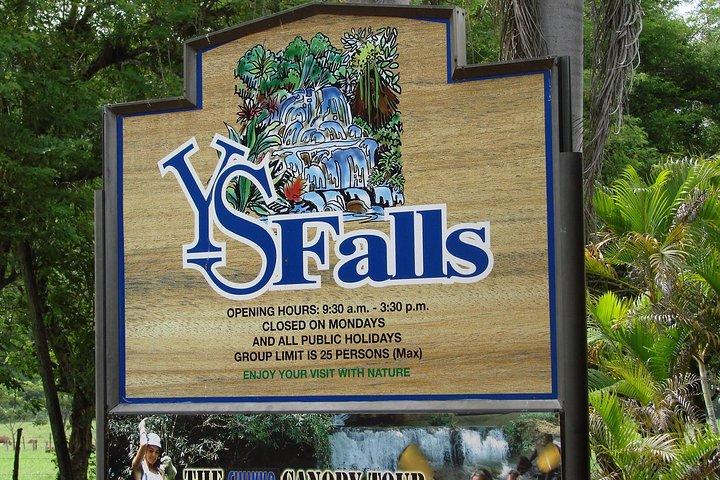 YS Falls, Black River Safari, and Floyd's Pelican Bar Day-Trip (Transportation)