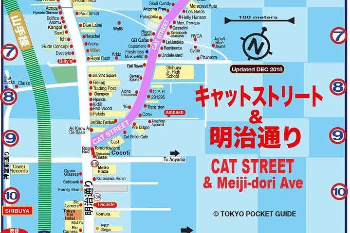 Essential tour for fashion and art in Tokyo for 6 hours with local lunch